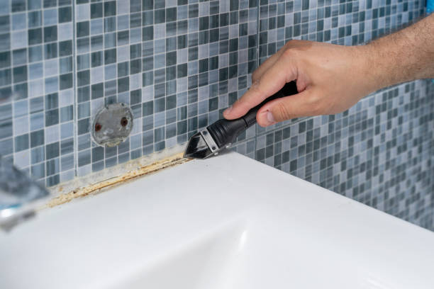 Home Mold Removal in Wakefield, NE